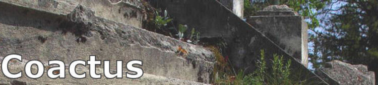 Coactus